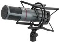 Micro Studio